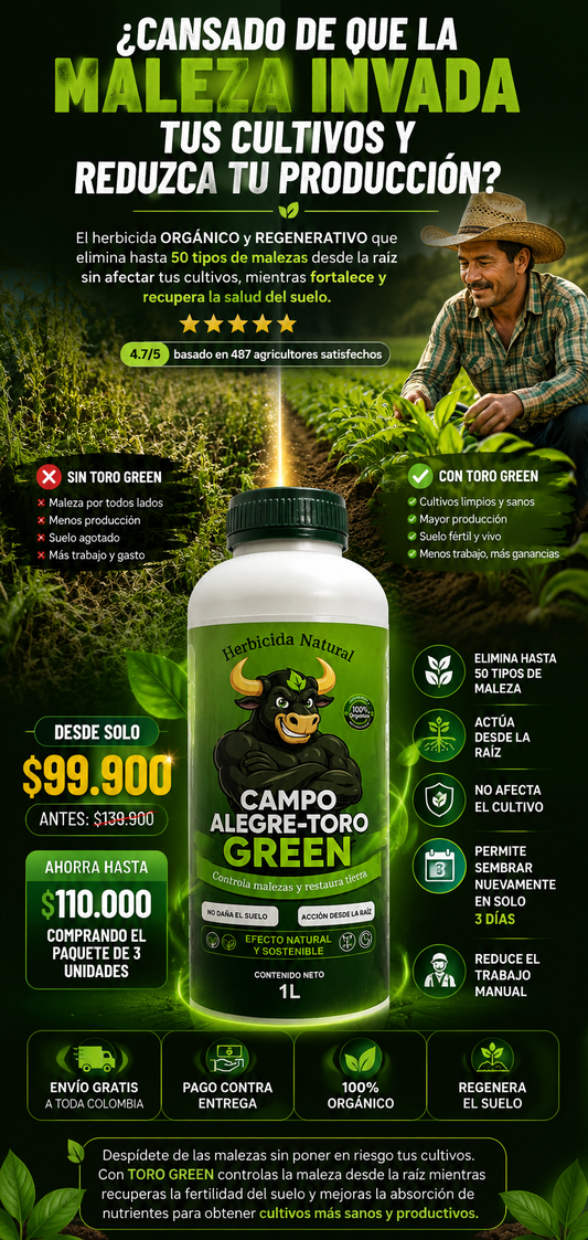 CAMPO ALEGRE - TORO GREEN